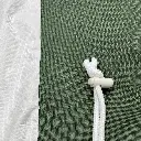 Green Detail.webp