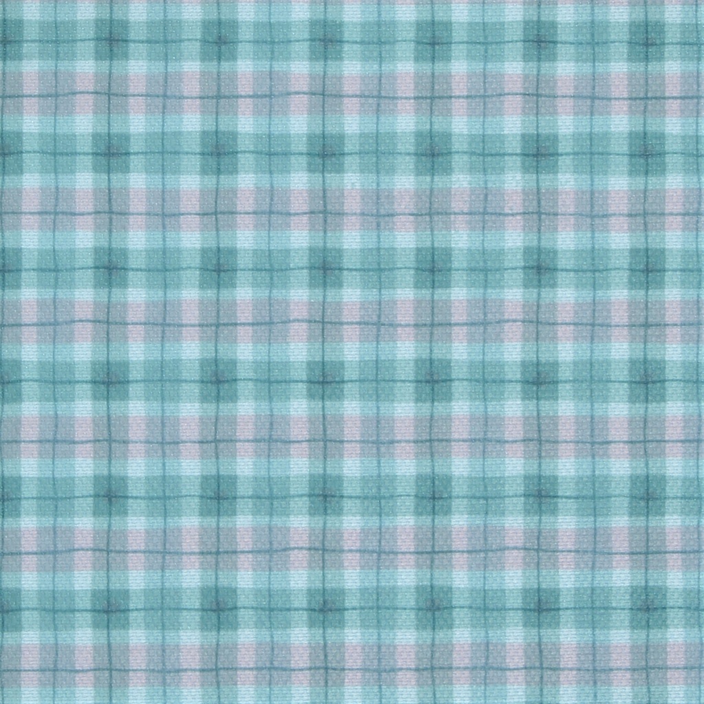 CLOTHING PROTECTOR AURORA - GINGHAM (PRICE PER EACH)